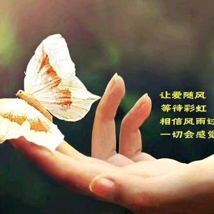 乐宝💞
