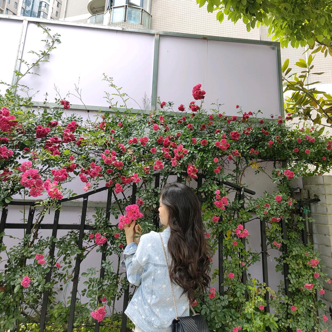 A小慧🐰