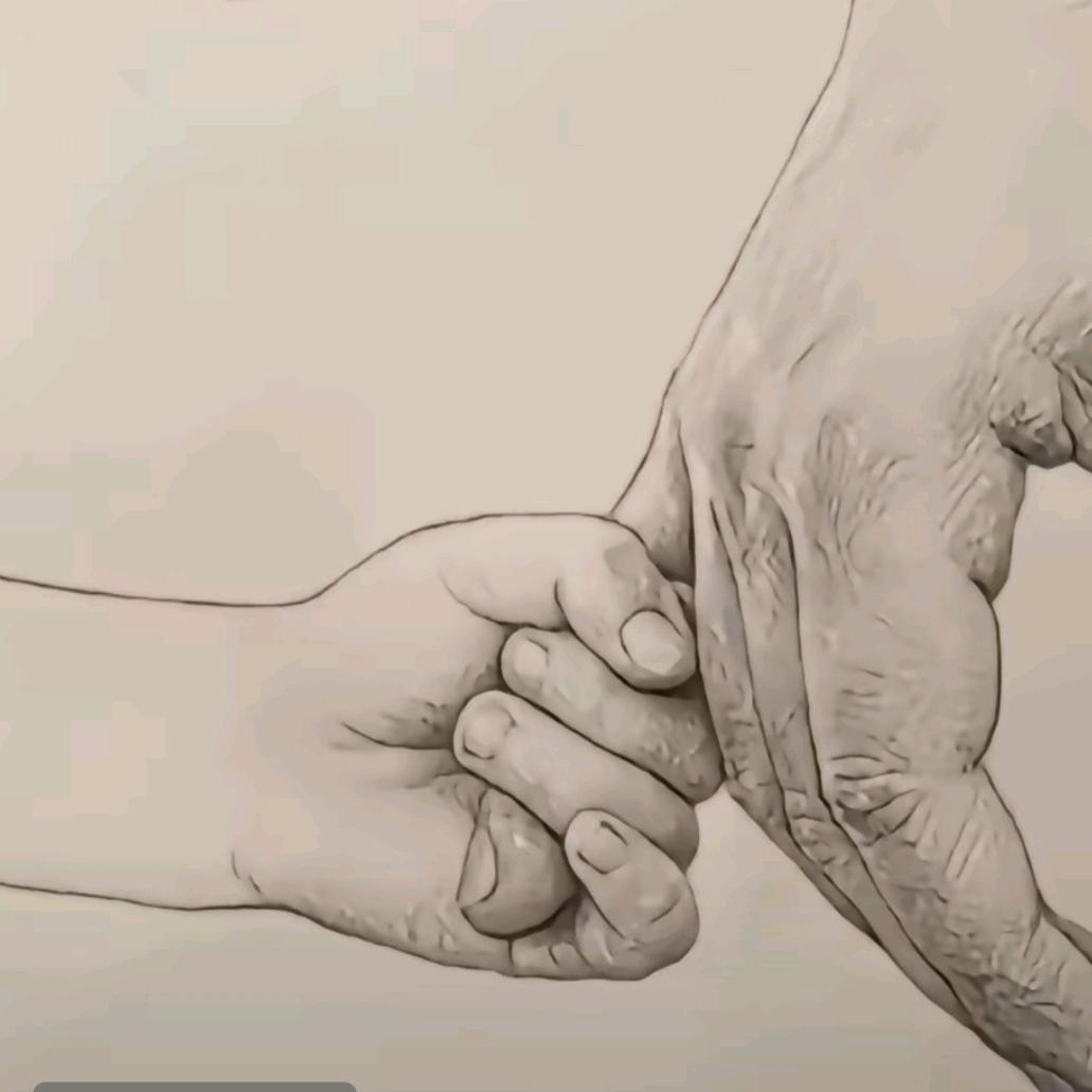 猪猪
