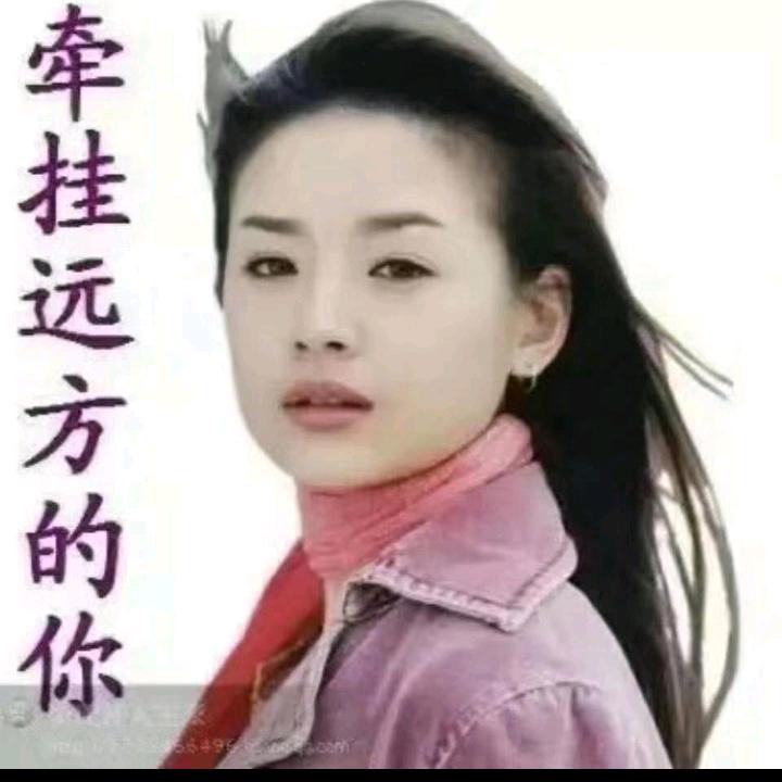 西北口卖鱼的思念花儿