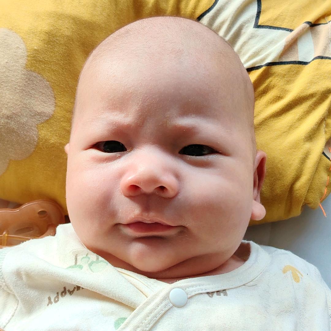 小霸总和哥哥们