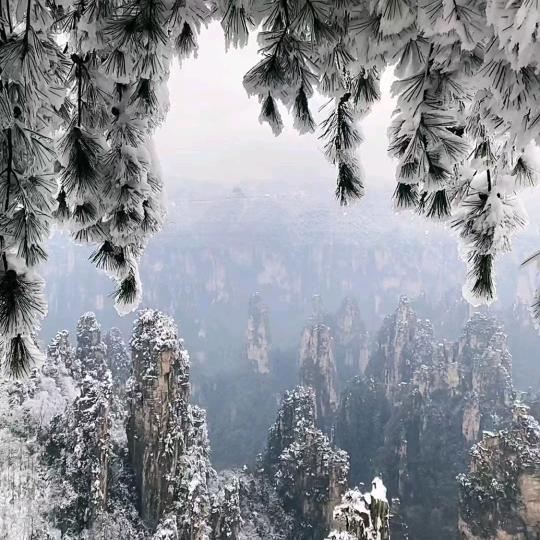 李丶丶一一一一