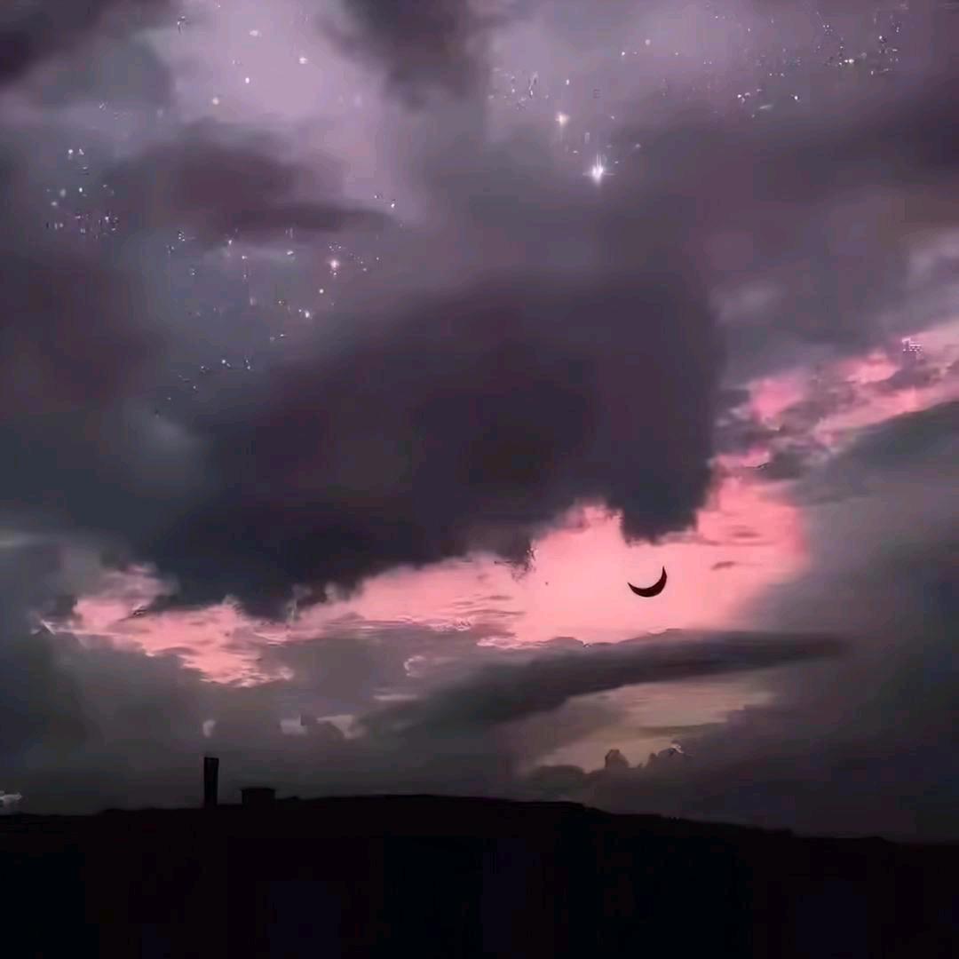 𝐹𝑙𝑖𝑝𝑝𝑒𝑑. 🌙