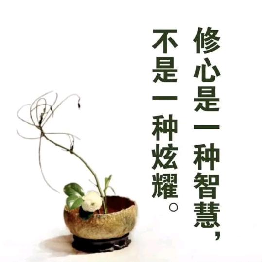 不慕浮华