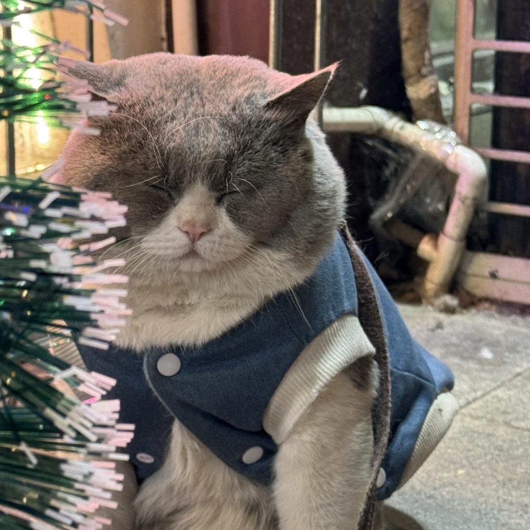 江河不问归期