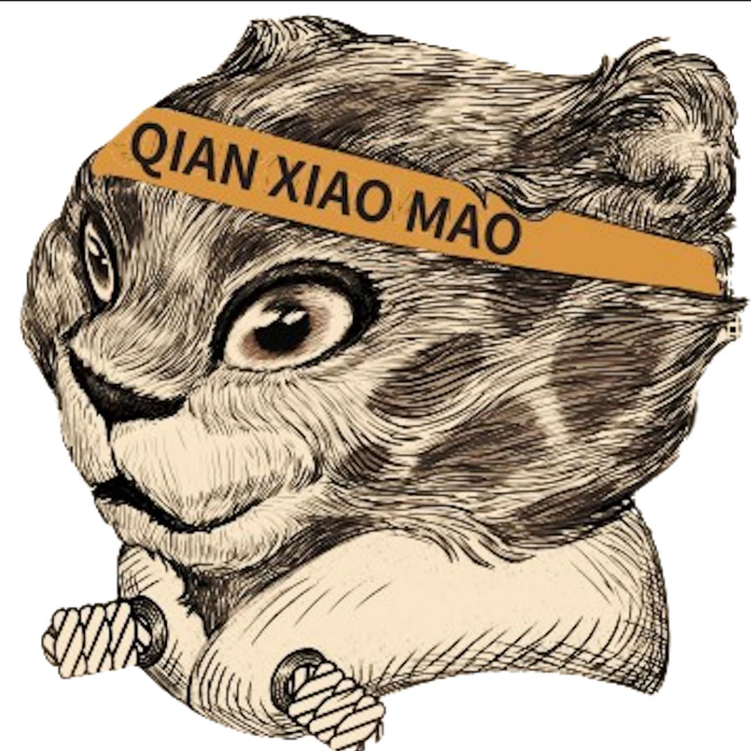 黔小毛官方直播间