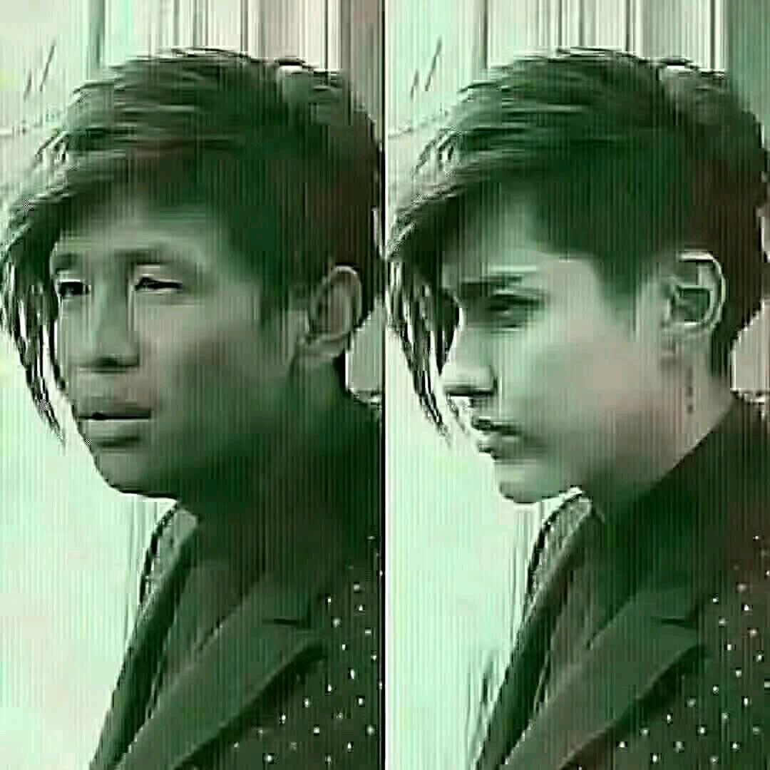 相似与一样对比