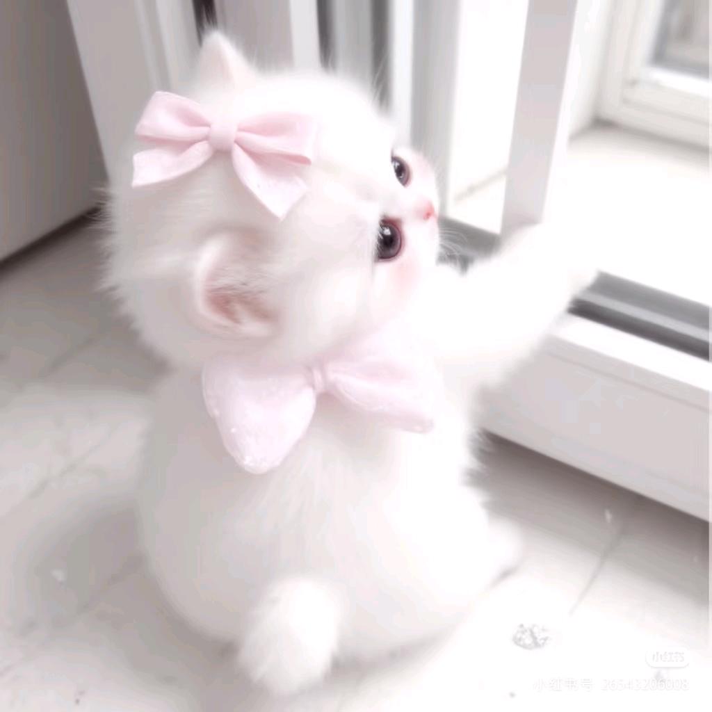 小温温。。。