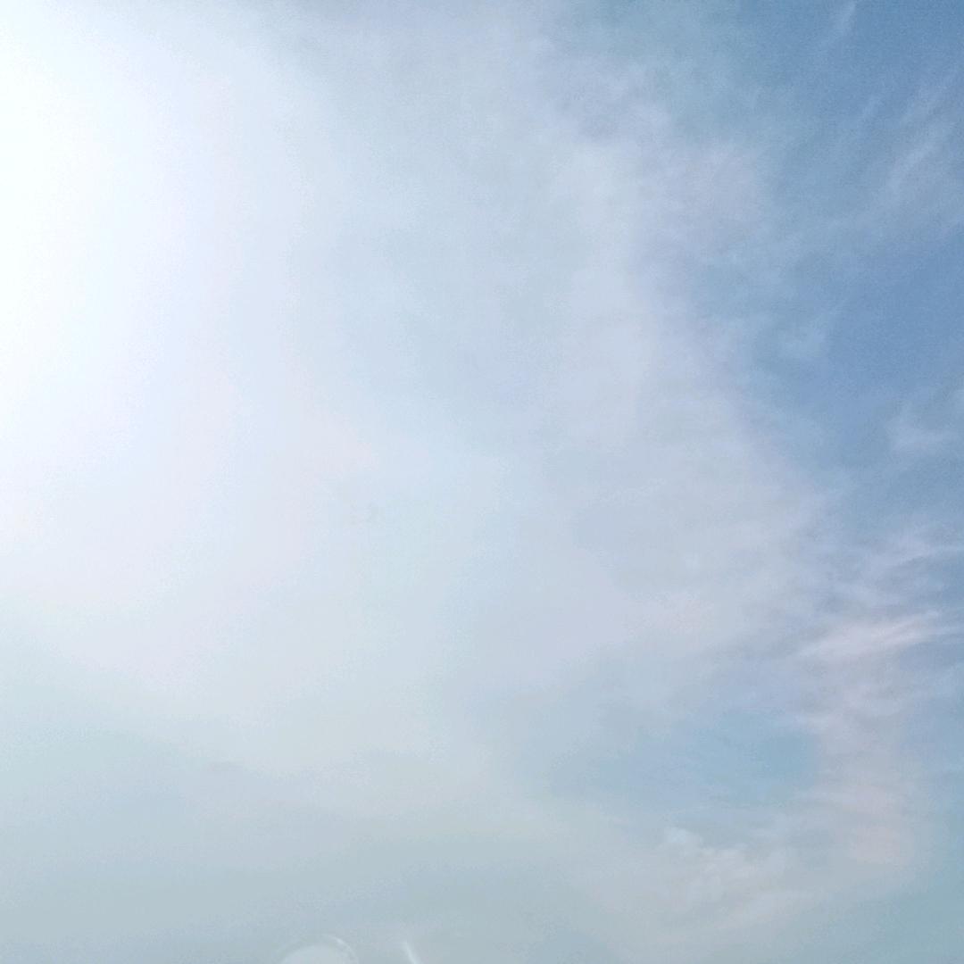 天天
