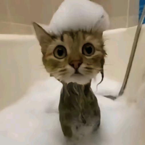 抽象只是我的保护伞