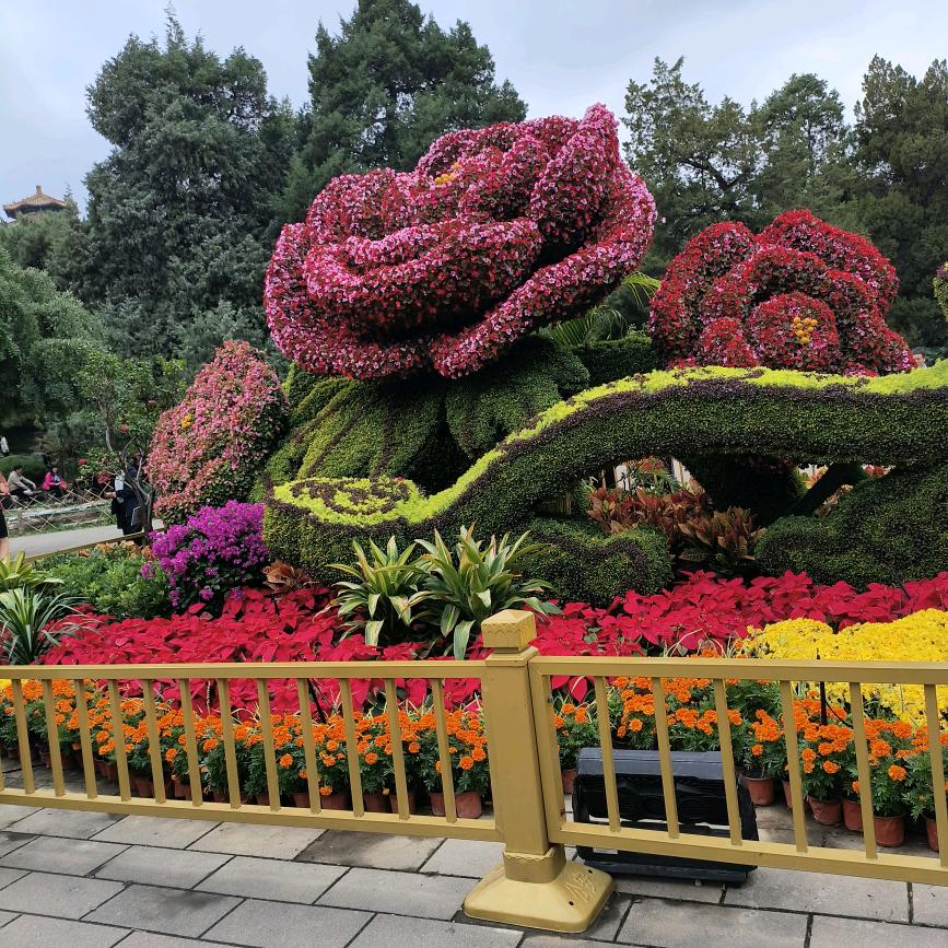 笑看风云❤️🍎♥️🗝🌹