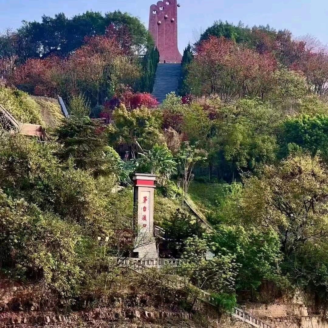 酱香传承