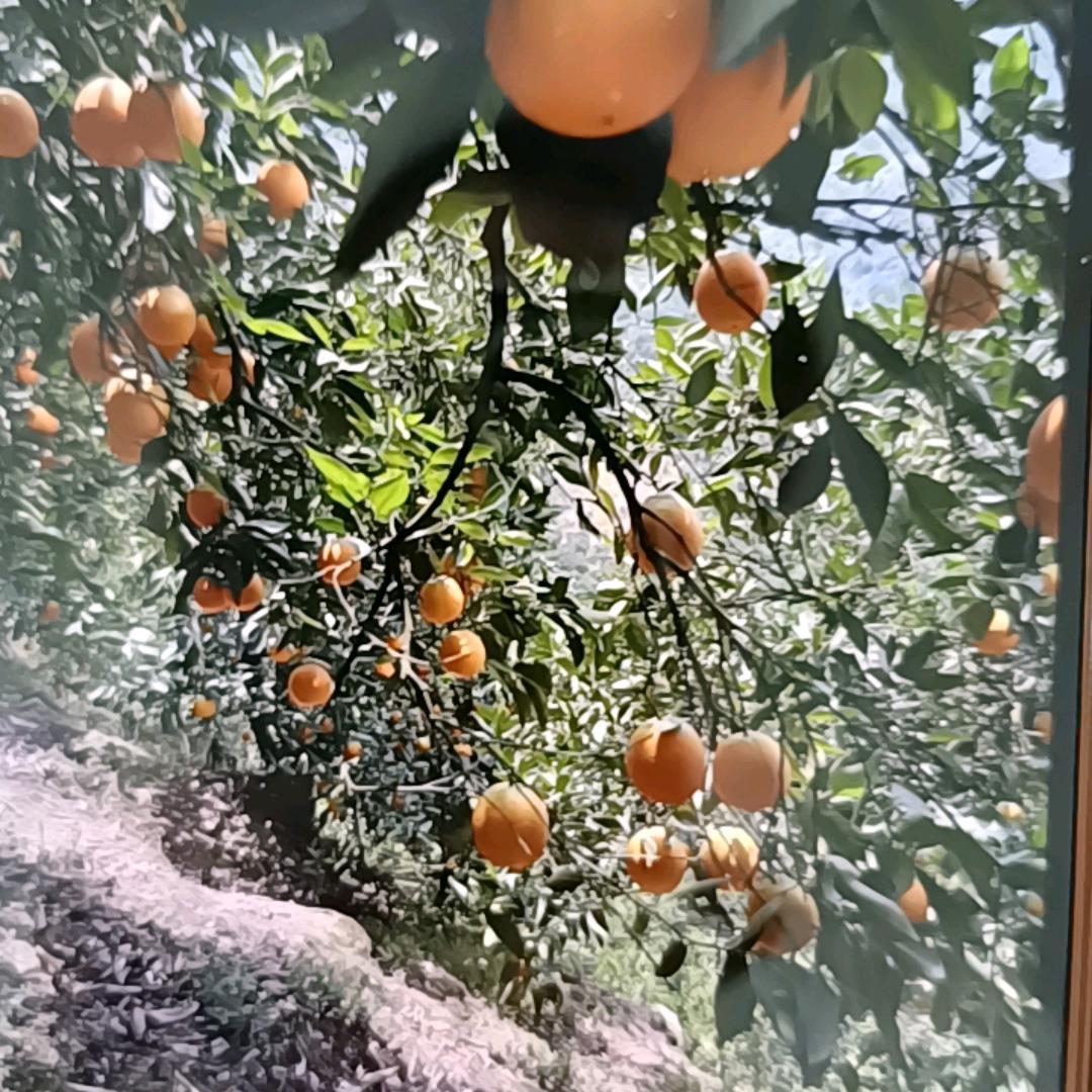 津门百宝仓