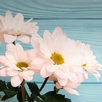 云姐，(拒绝私聊)。