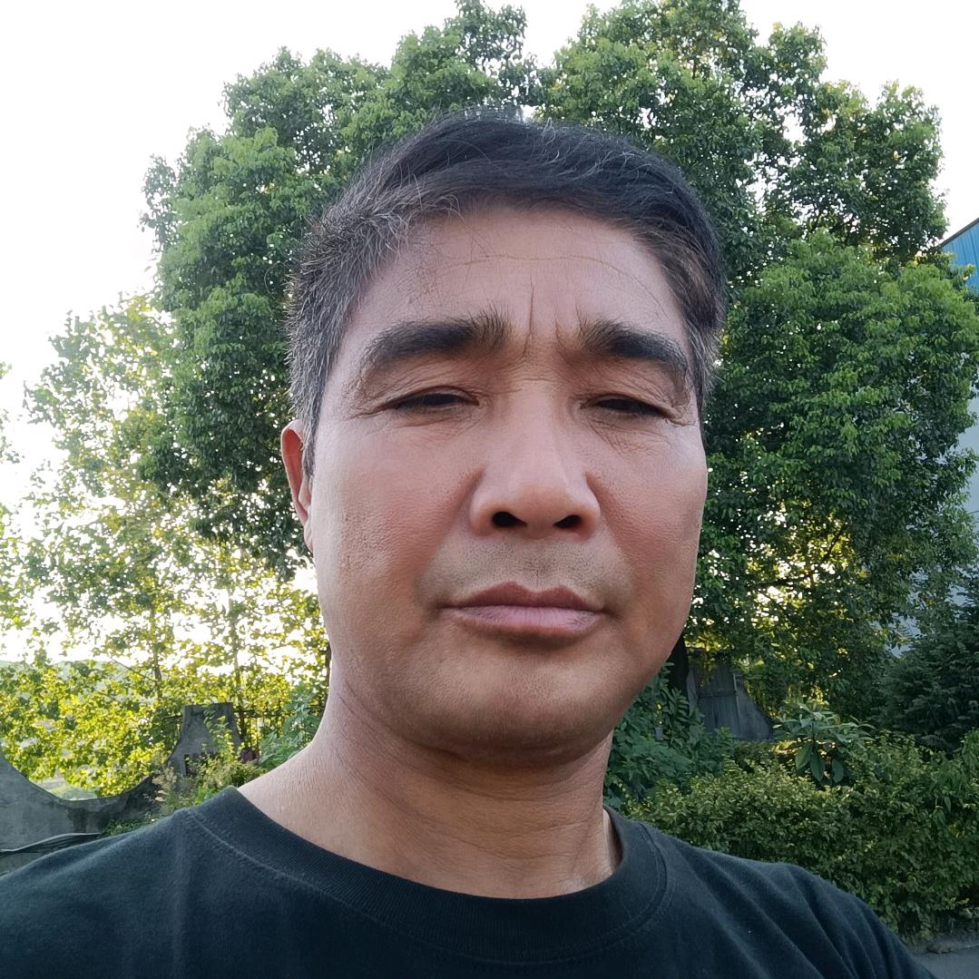 粉红色玫瑰