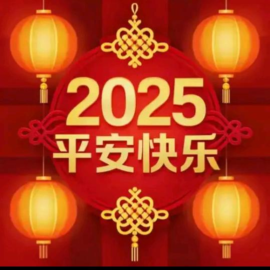 不离不弃