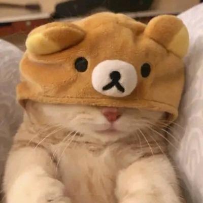 桃花万里取一朵
