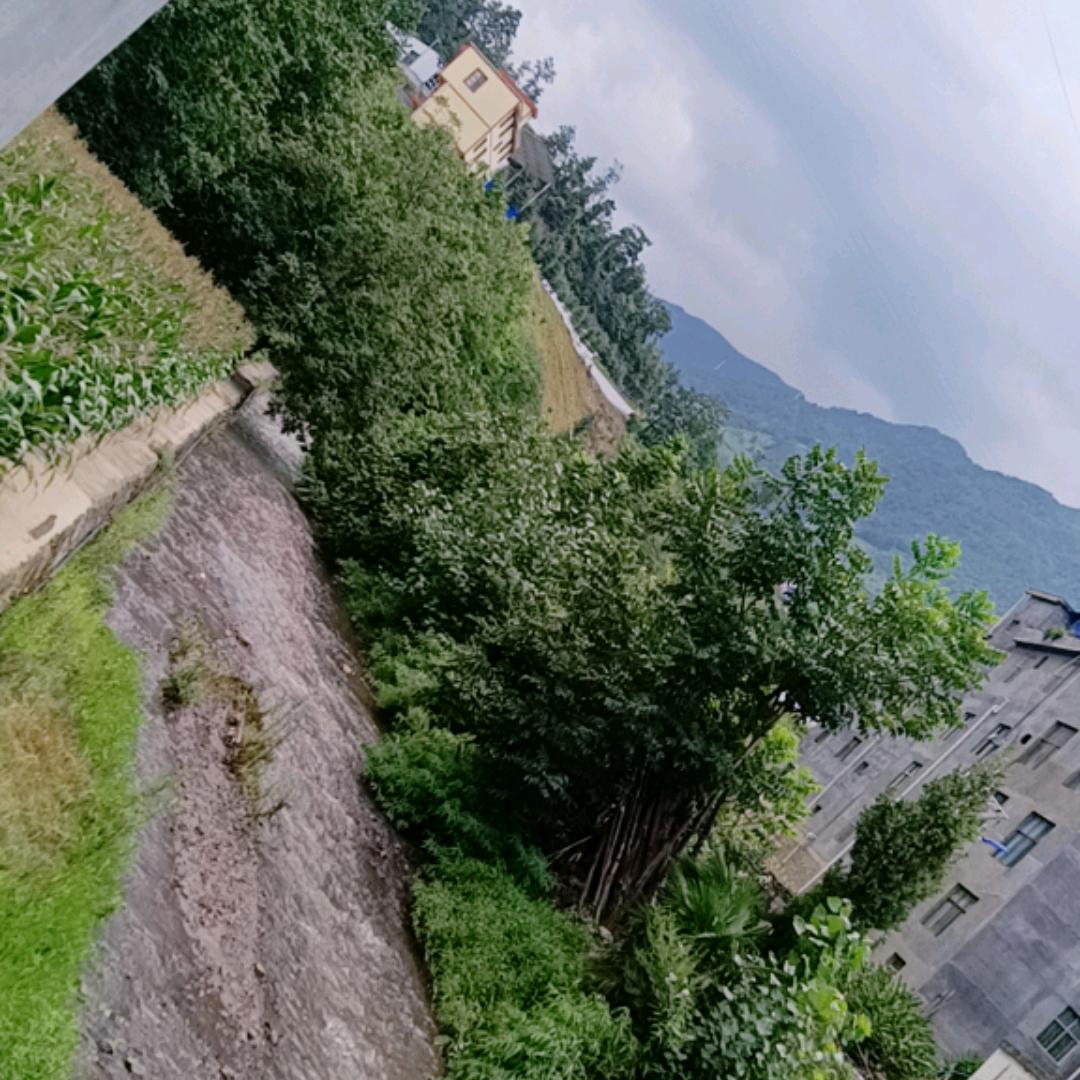 没有文案