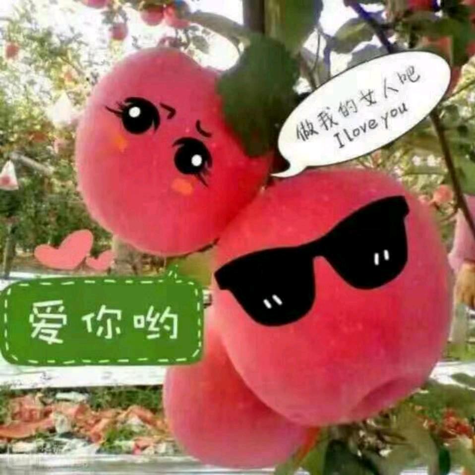 洛川苹果代办豆豆（代收代发）