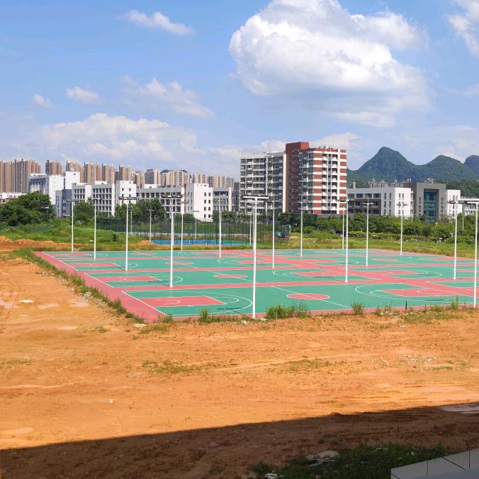 唐龙行中国🇨🇳