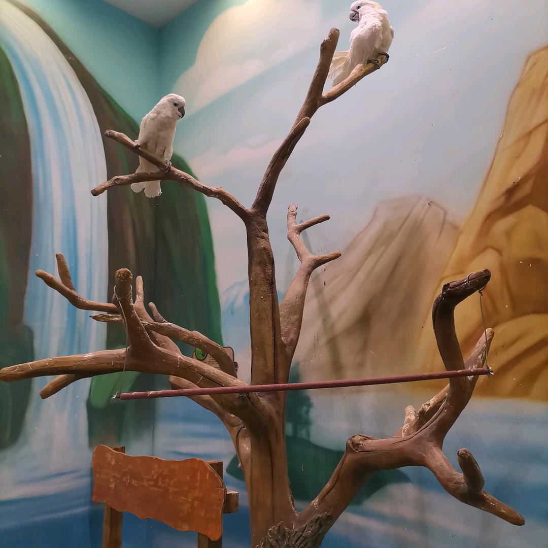 ( ㊖ _ ㊖ )错把敷🍄衍当承诺