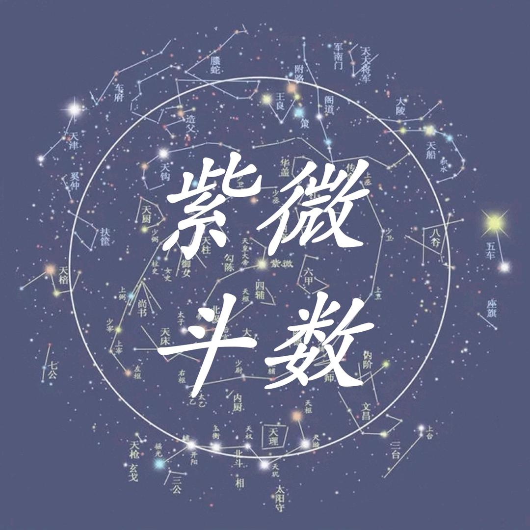 来自黑土地的阿雨