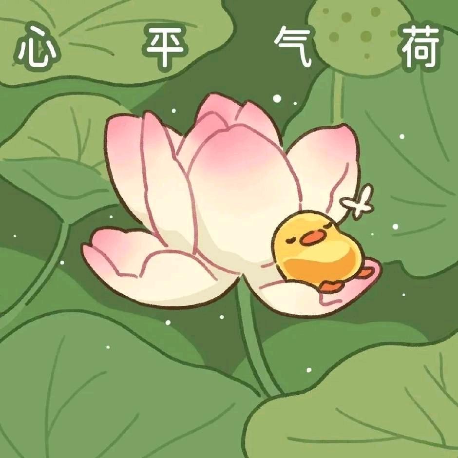 🌈小叶暴富🌻