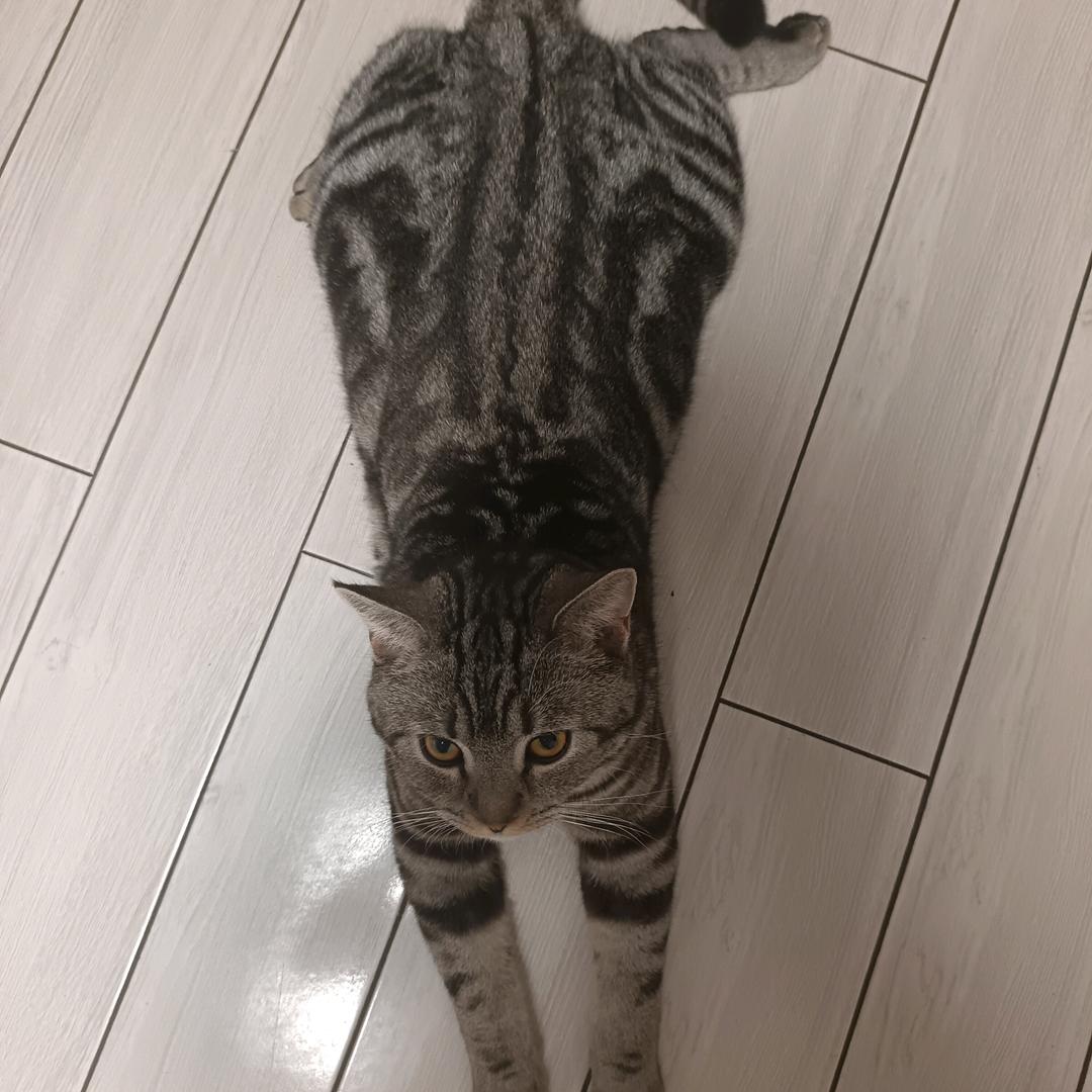 小琰吖