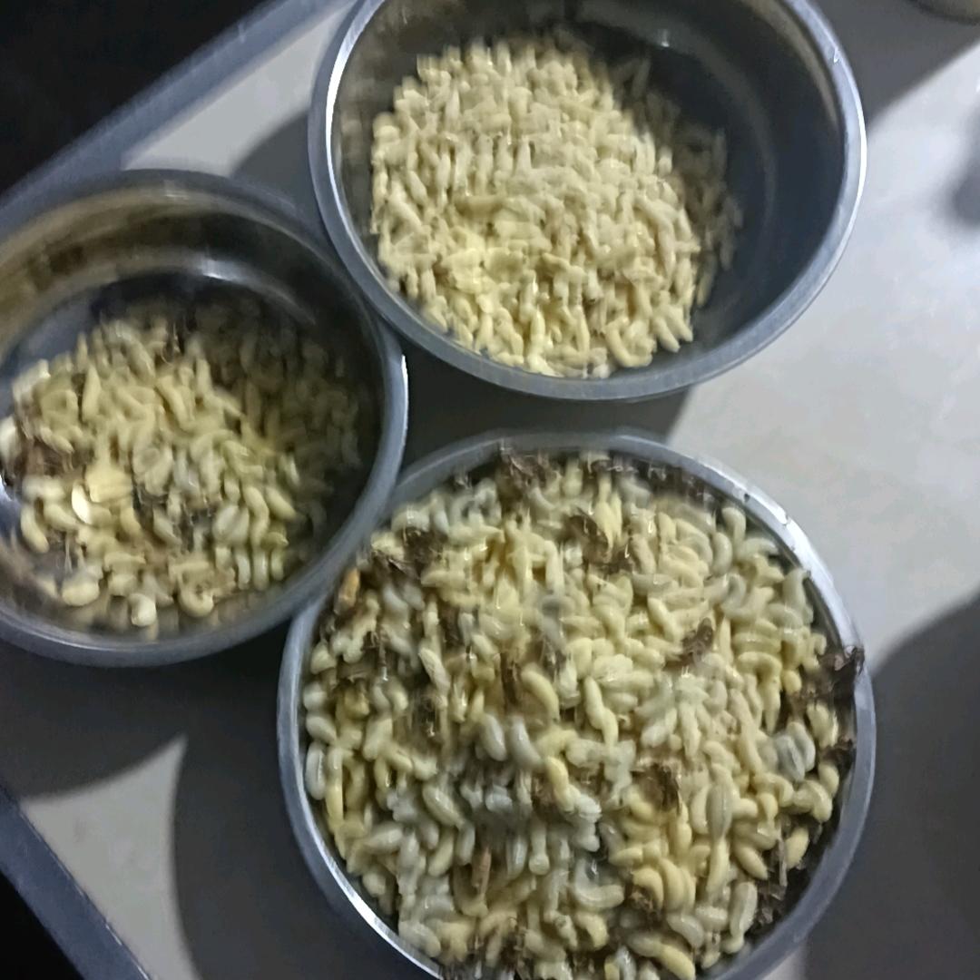 开心小哥