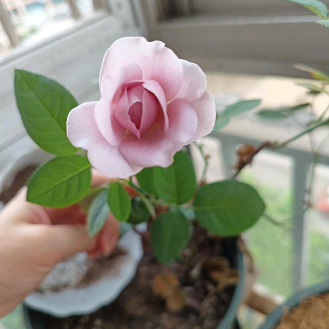 睡醒再去看世界