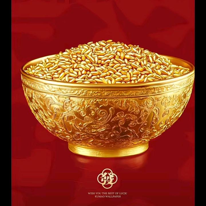 游乐园资深玩家