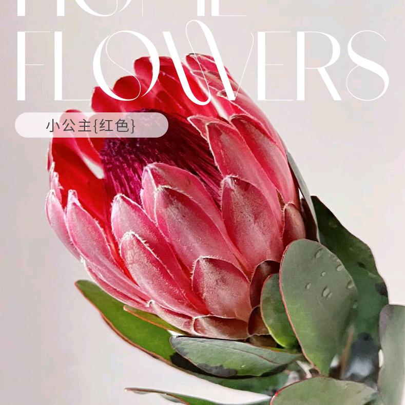 喜花礼同城鲜花批发花艺