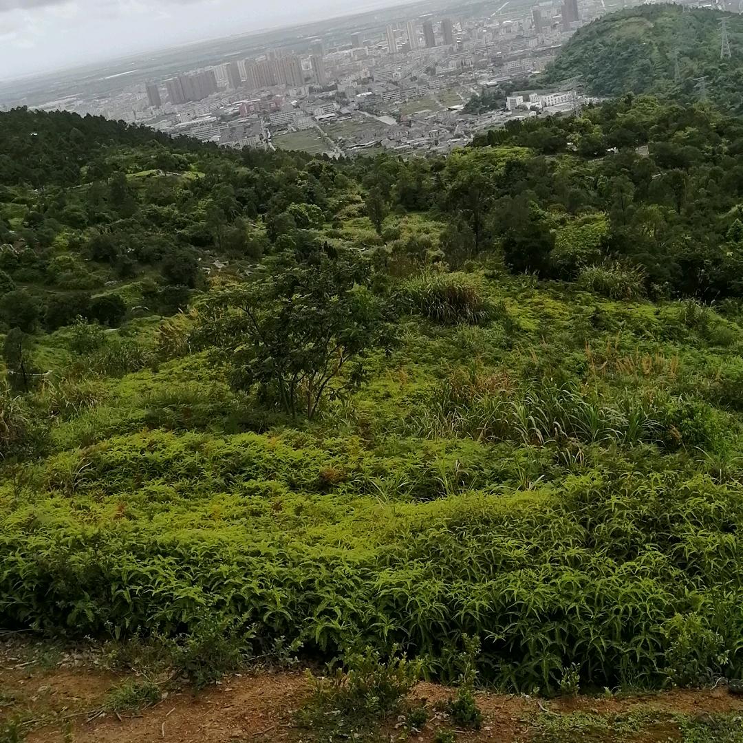 忽略了岁月脚步