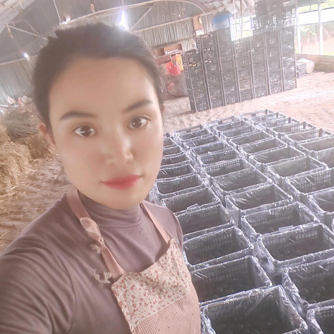 固墙毛屯窑坑养鸭场