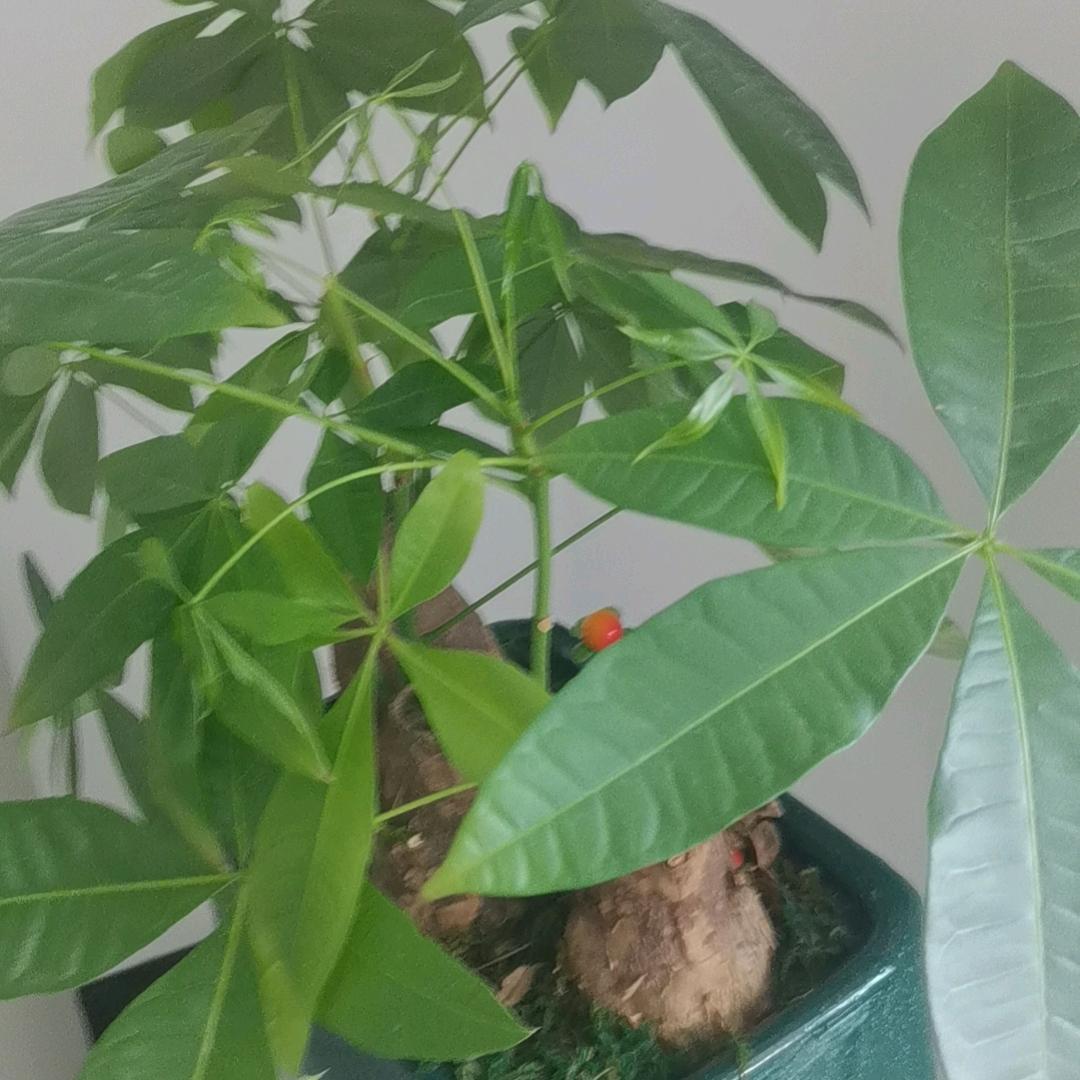 宅到深处