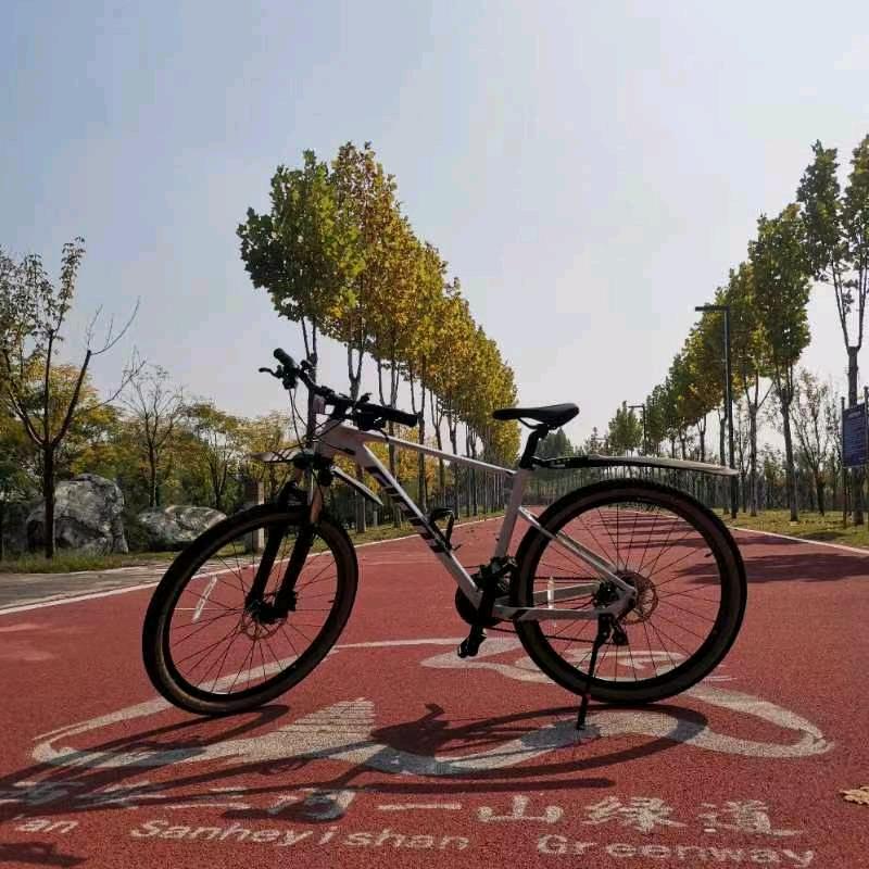 何口何乐