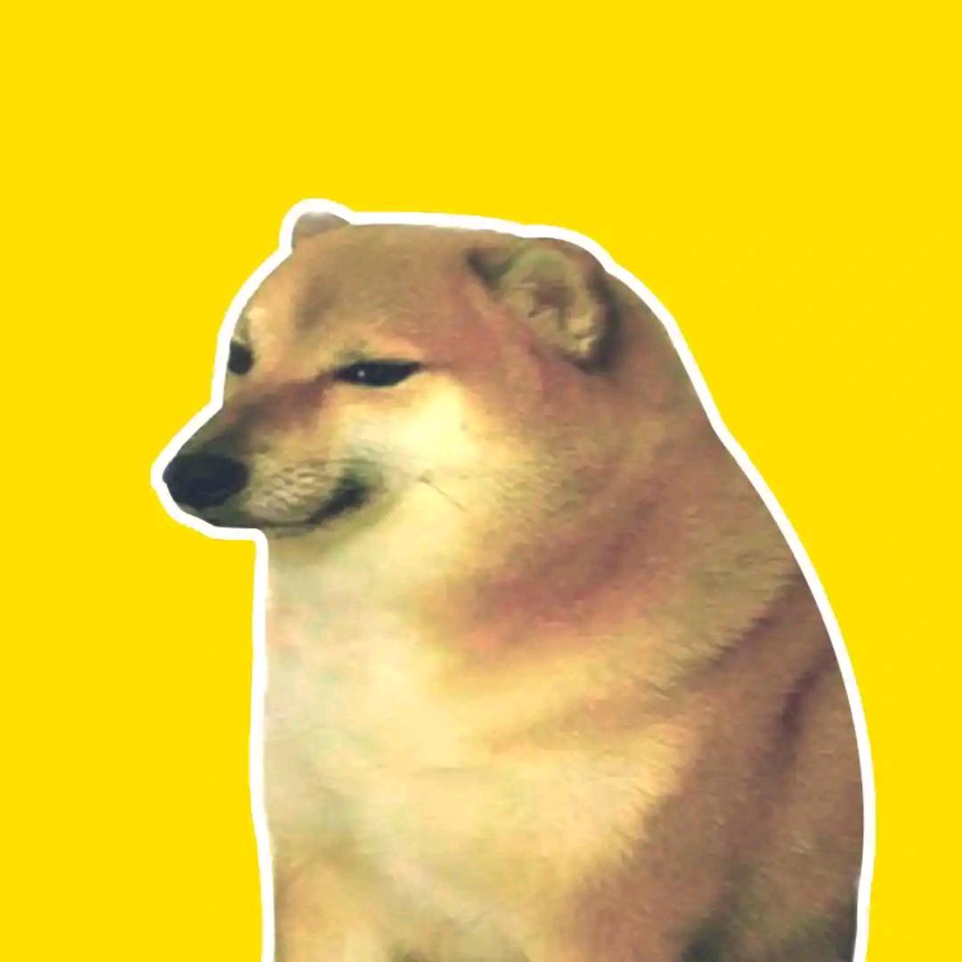 书虫cheems