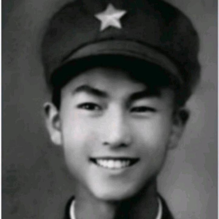 高枫