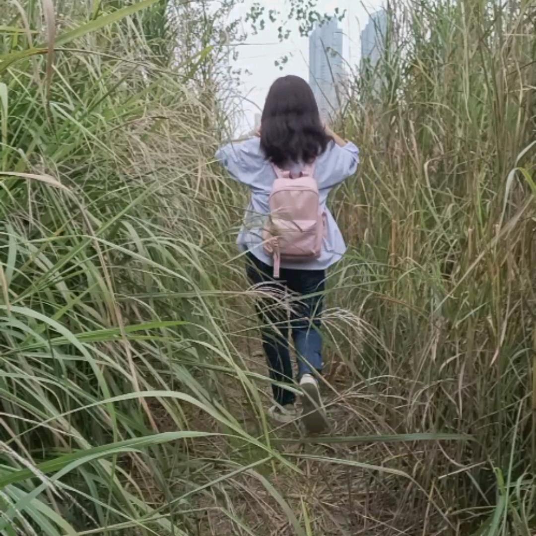 夕阳红