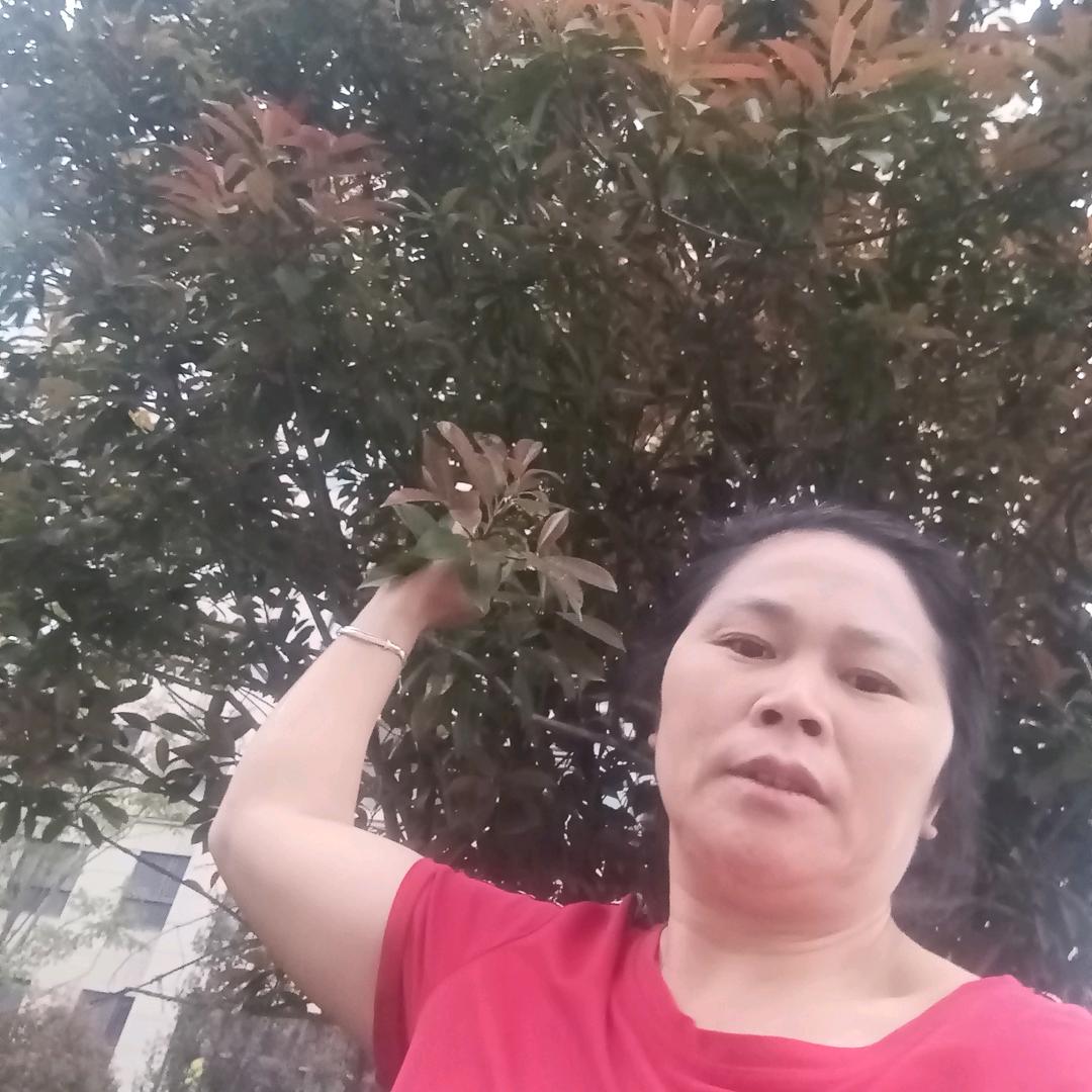 陈市姐