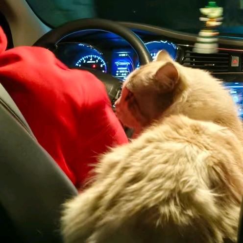 一锅端活油烙锅