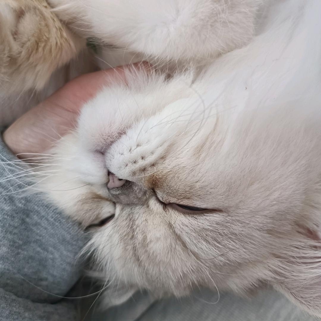 阿澄kk我的学习榜样