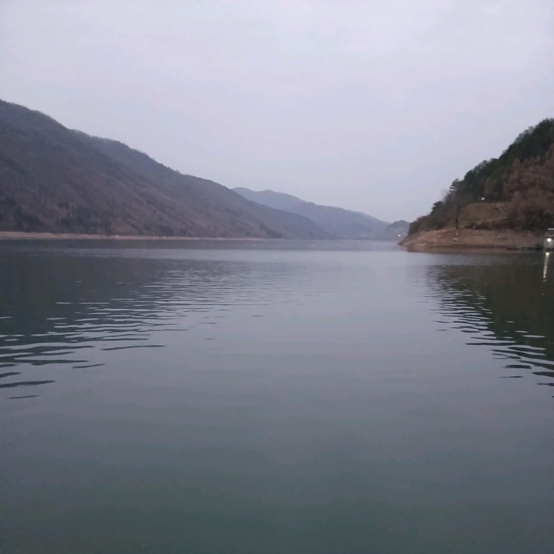 龙哥