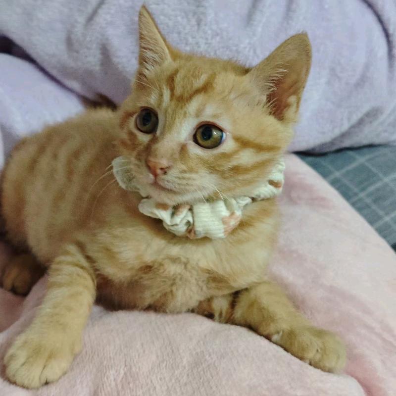 月落乌啼🇨🇳