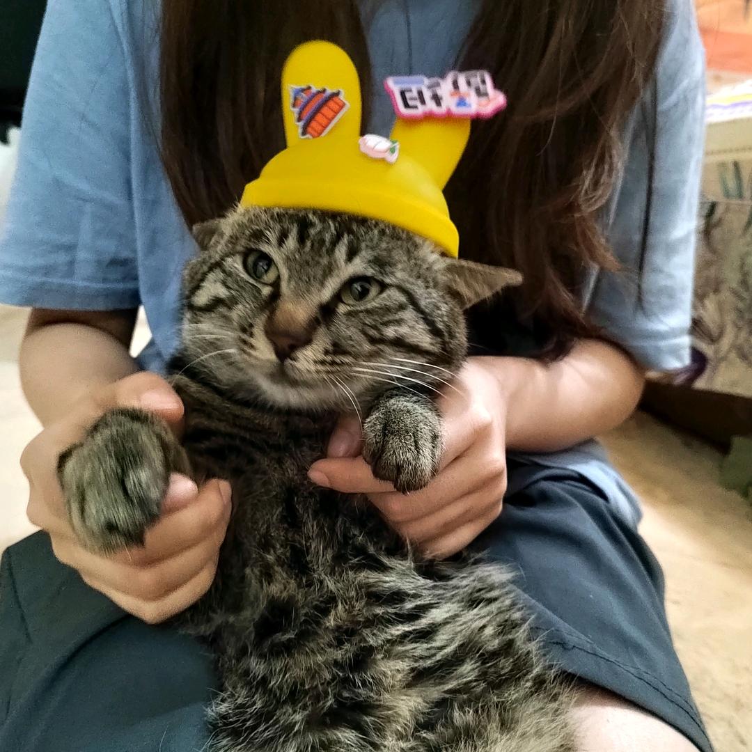 小小今天挨打了吗