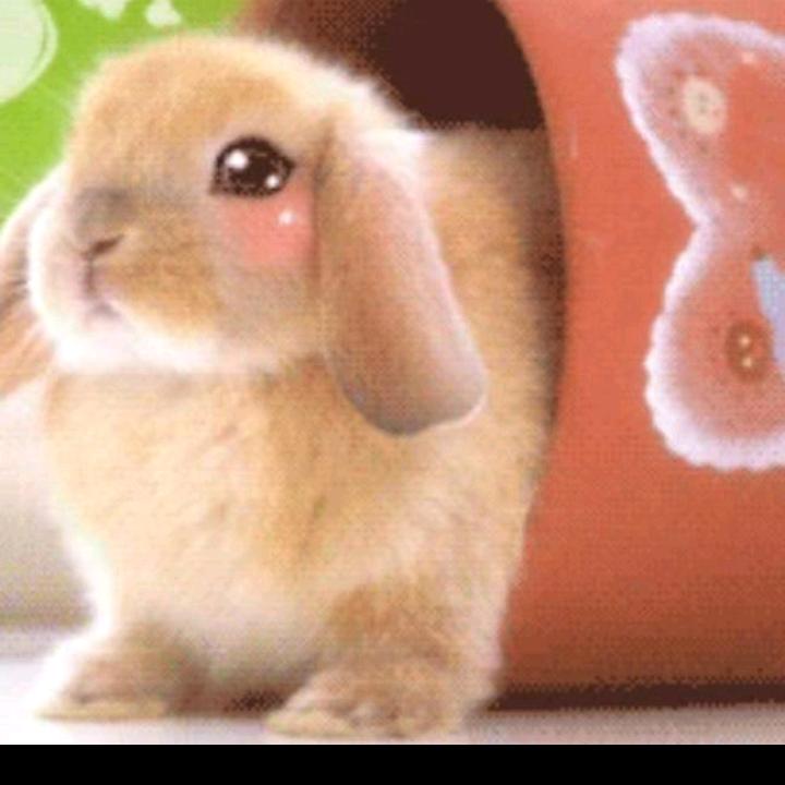 (｡･ω･｡)