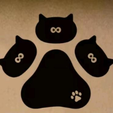 五号萌宠