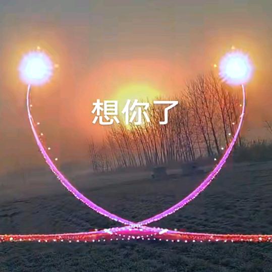 迷人的王子