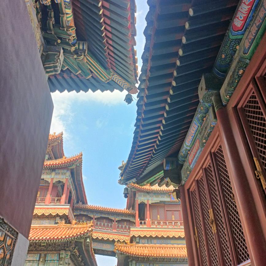 是小乔乔呀！