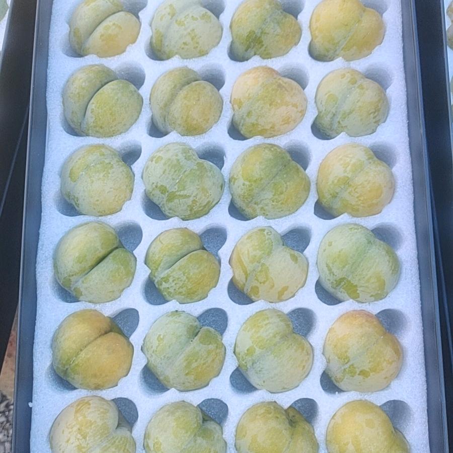 枫香蜂糖李（兵兵有李果园）